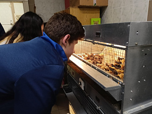 Кадры для развития птицеводства в регионе